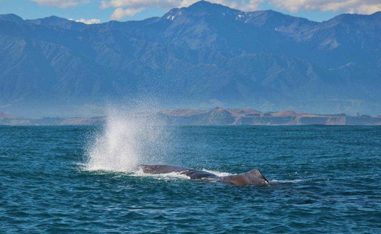 Alpine-Pacific Holiday Park Kaikoura Exterior photo